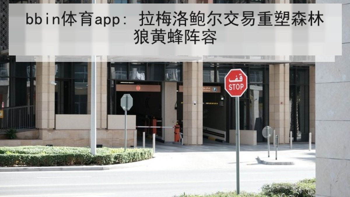bbin体育app: 拉梅洛鲍尔交易重塑森林狼黄蜂阵容