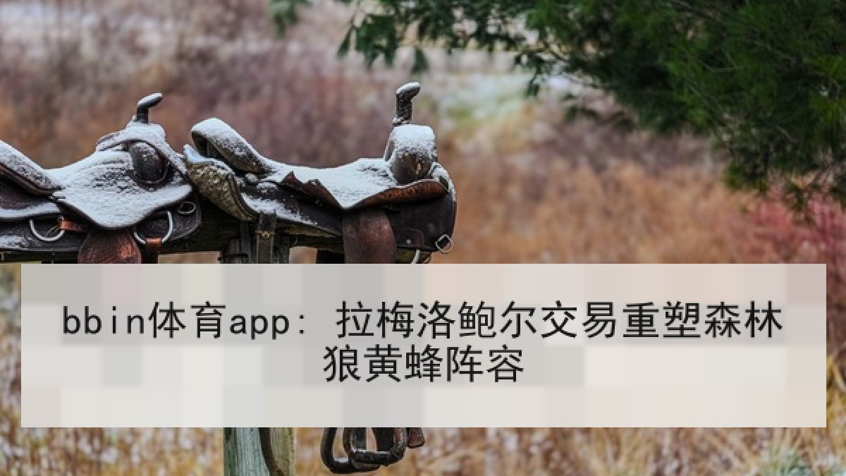 bbin体育app: 拉梅洛鲍尔交易重塑森林狼黄蜂阵容